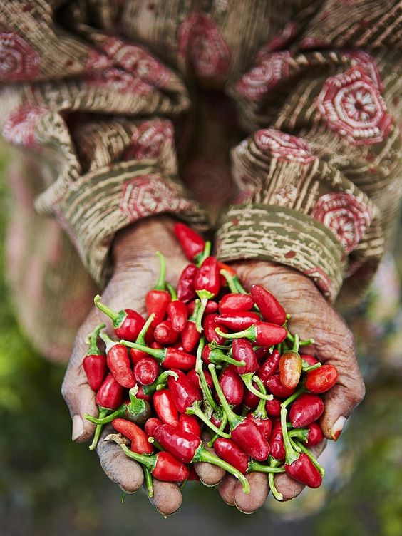 épices et chili pour avoir un bon métabolisme